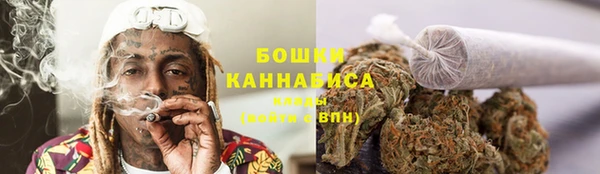 2c-b Белокуриха